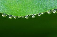 鄉鎮凈水器：市場分散，消費集中