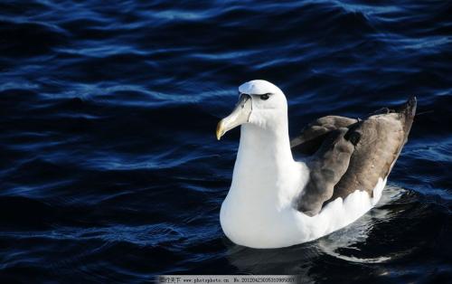 1543043586668670.jpg u=3562814848,1507610712&fm=26&gp=0.jpg